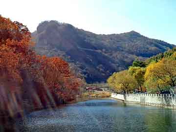 澳彩资料免费长期公开，柴油市场价